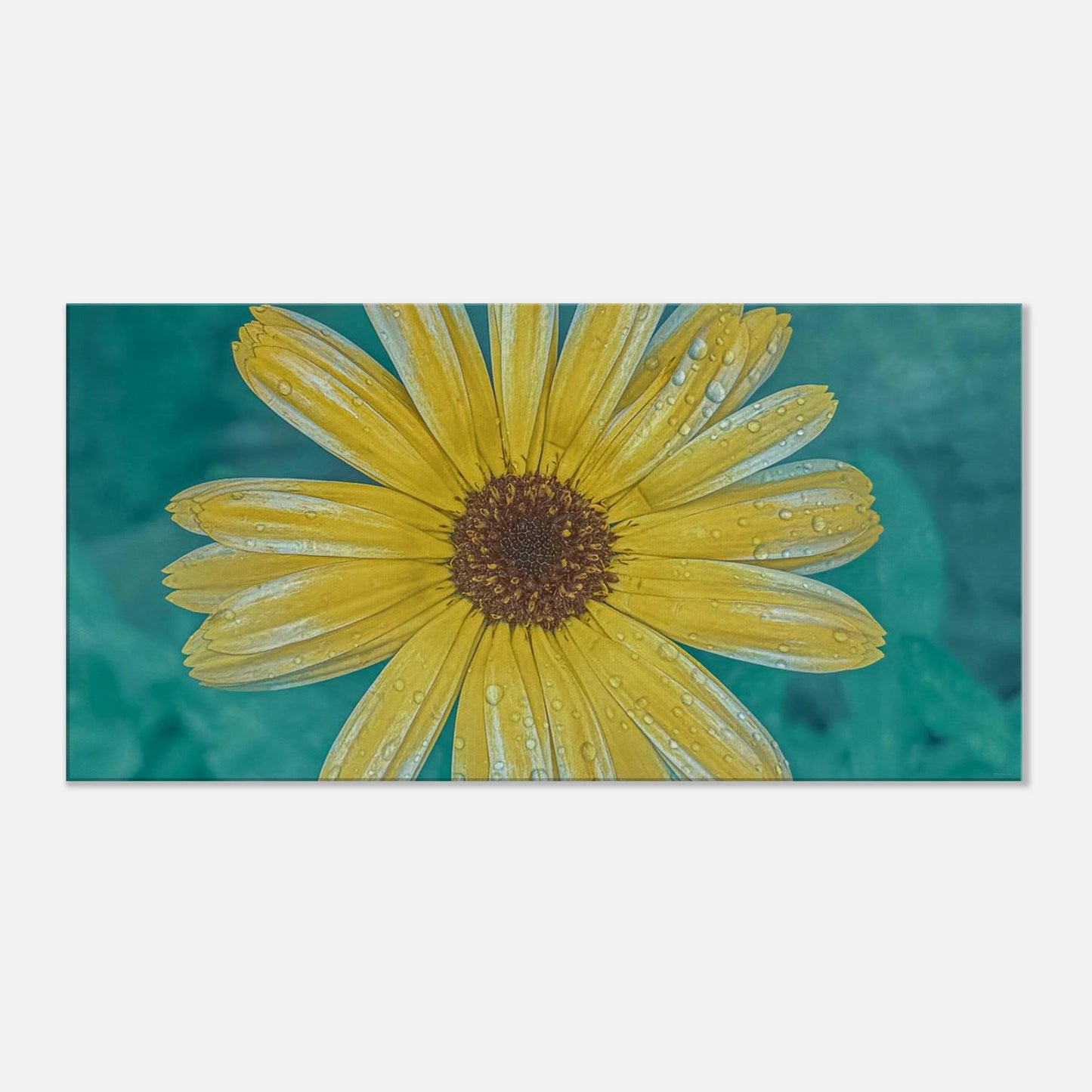 8d7a78a7-155d-46ef-8d48-7c1723e597d6