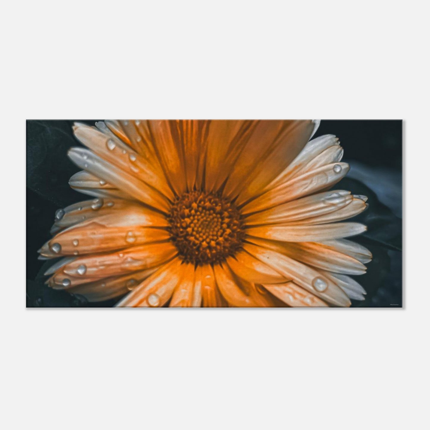 8d7e723e-30dd-4214-918b-9903bc80fe60