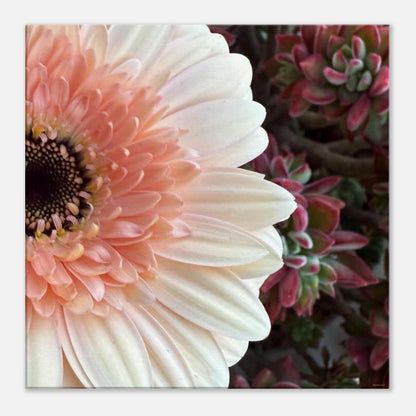 8dbc960c-ced8-4e0b-8ce0-9be103d6ff89