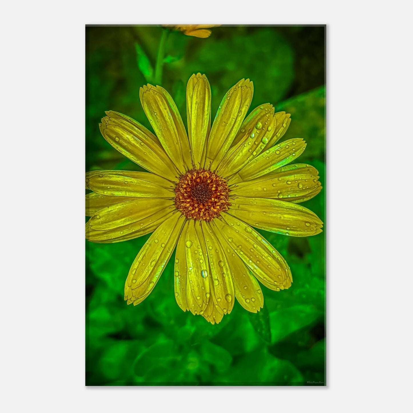 8dbd74e7-c233-475c-b55d-a725d1f8b023