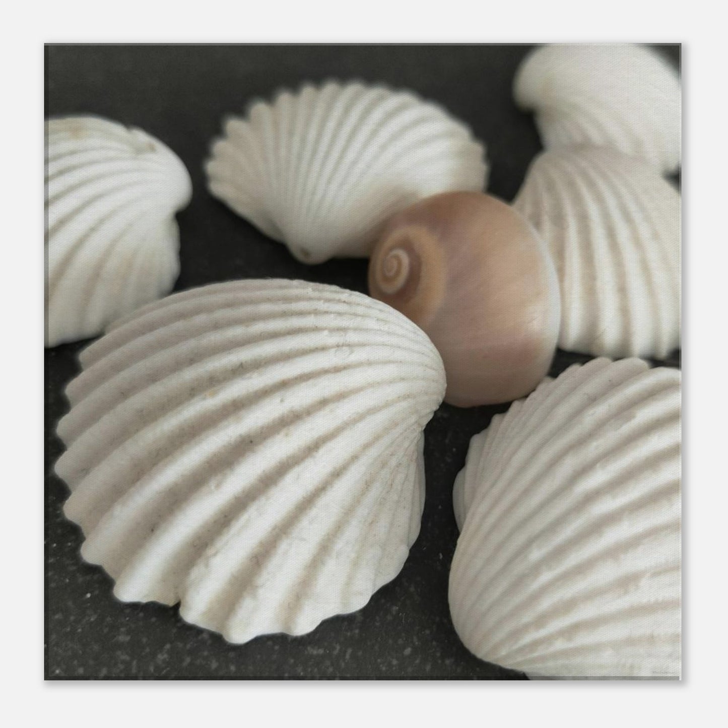 8dc79d0f-66ed-4f84-9e47-f66e6f4eb078