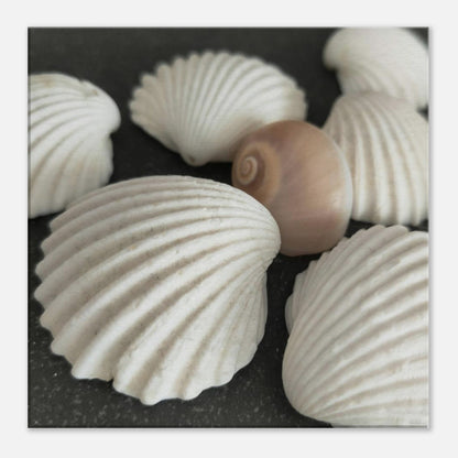 8dc79d0f-66ed-4f84-9e47-f66e6f4eb078