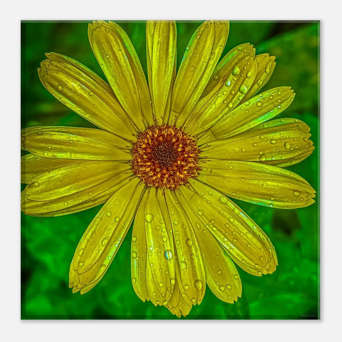 8de10deb-0c58-4b3b-ac7e-17e3293577b2