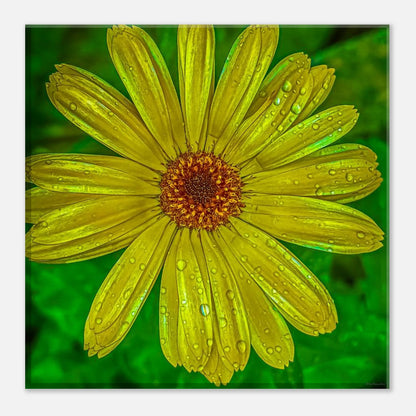 8de10deb-0c58-4b3b-ac7e-17e3293577b2