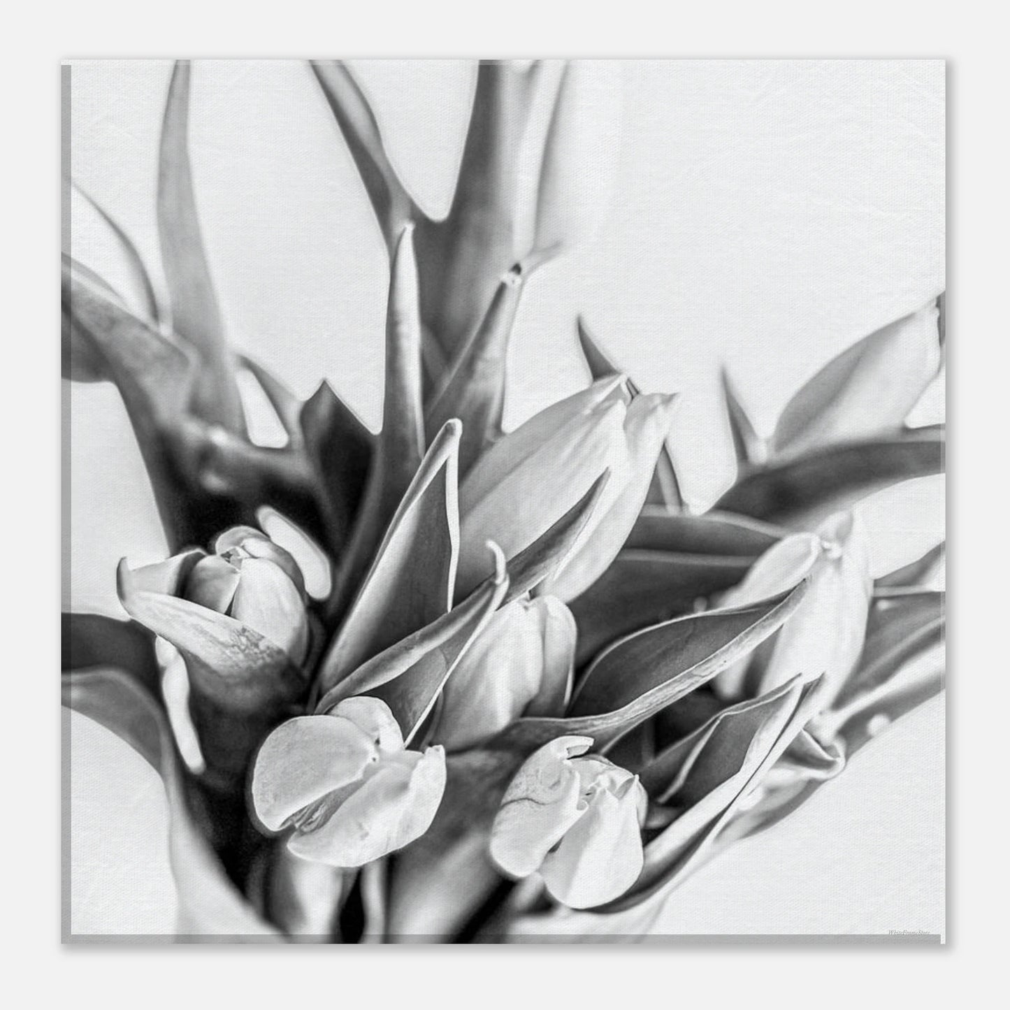 8def5f4f-3d0c-4387-9fbd-0ff5fdc75b16