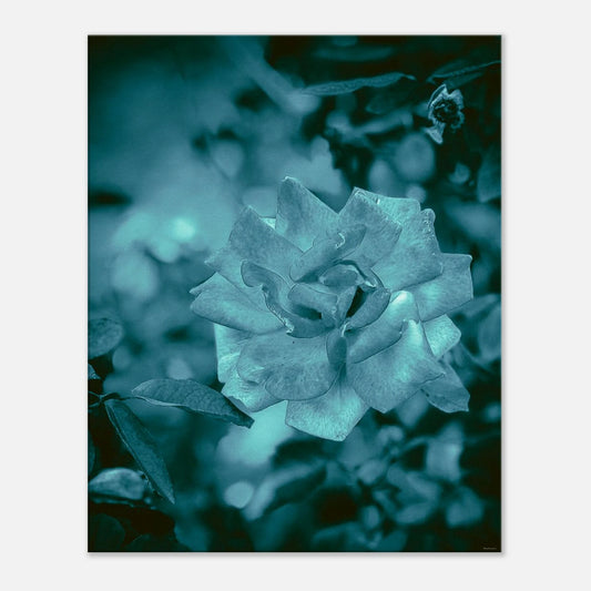 8e08c458-7eb0-4572-8d1f-836ff009c187