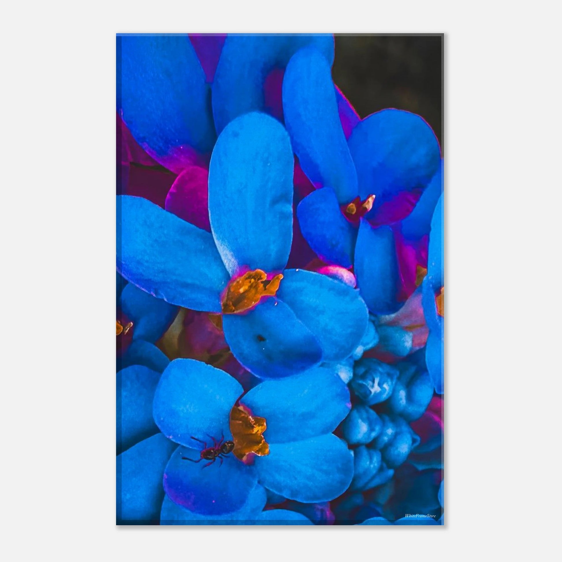 8e2afbf1-6c54-4191-89b2-7c8fdb93617a