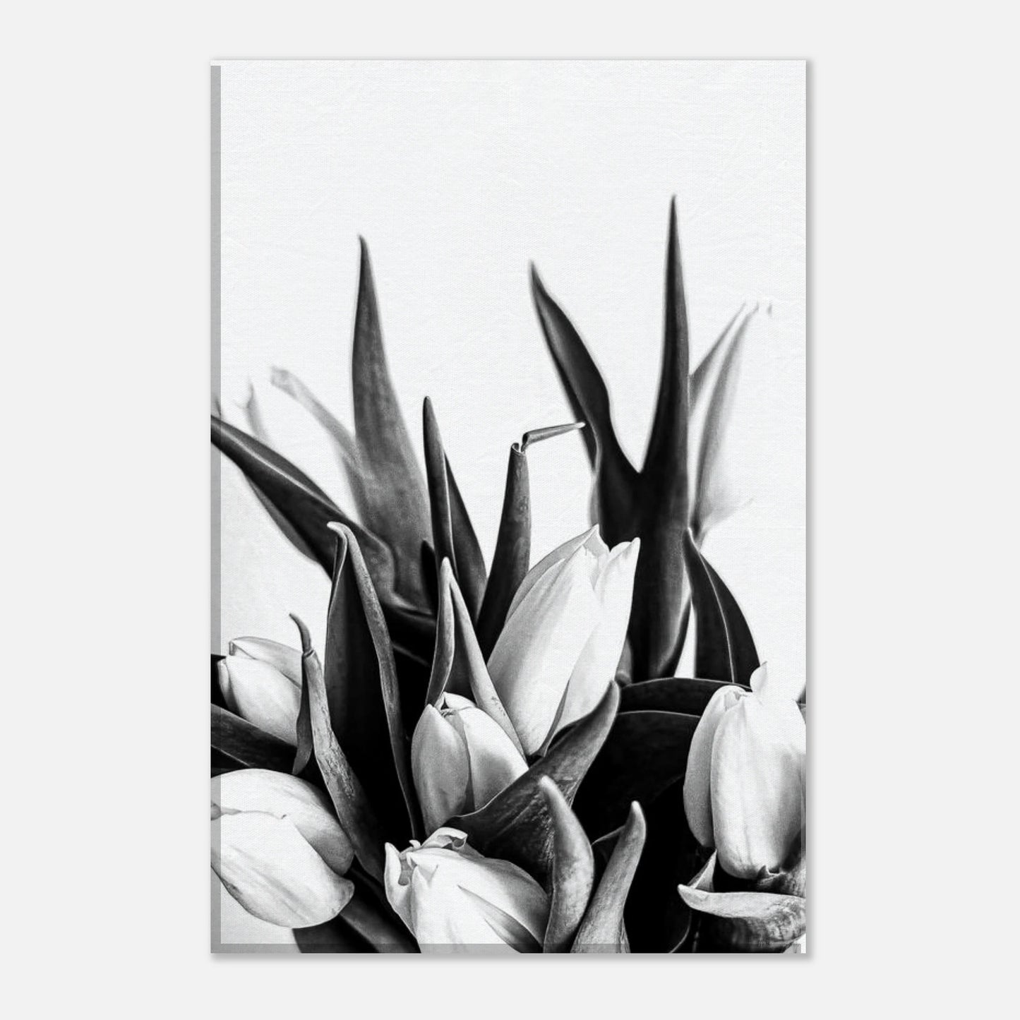 8e5fb93b-0ef9-4c46-acb9-09250c668df8