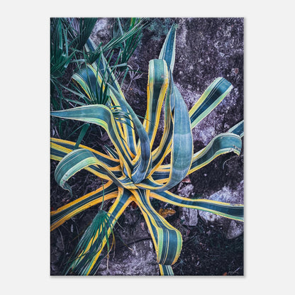 8e89c978-247f-493c-be3c-e73676cbeaac