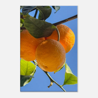 8e953349-5bba-4e7f-b5ab-6733de6f3b38