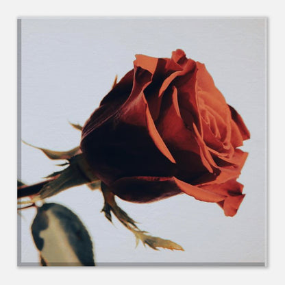 8e9f1566-7638-4a59-897c-80801cbc2906