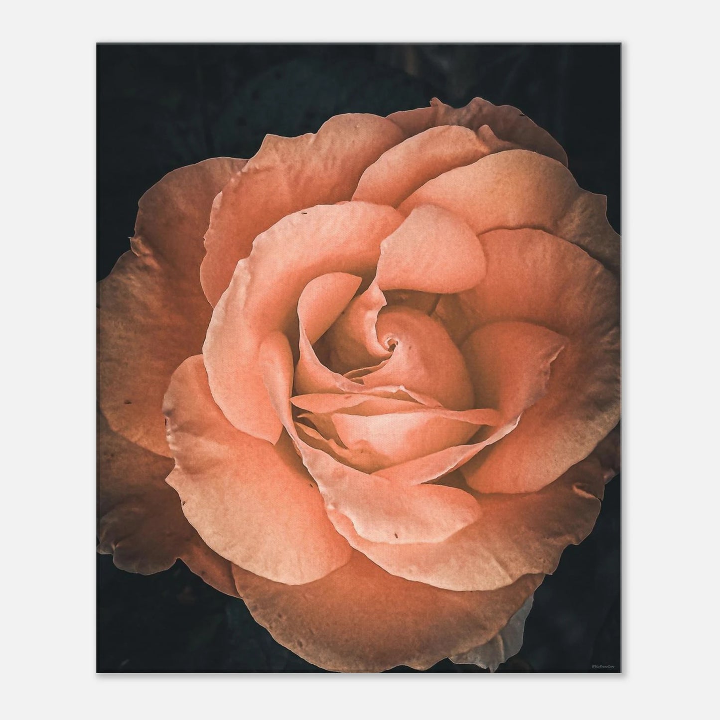 8ebc1d91-af2f-4514-8731-43a6c96c47e6