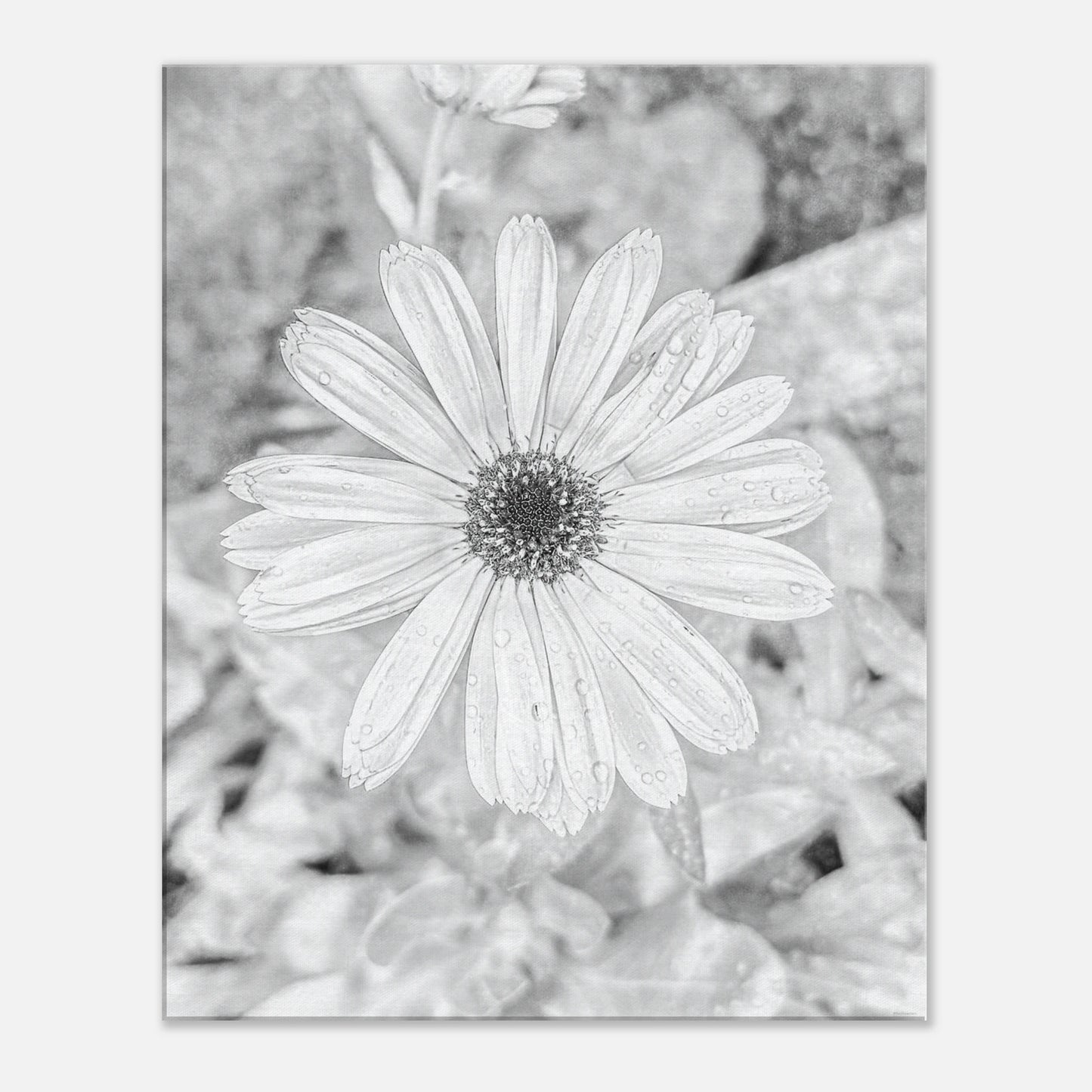 8ebffe84-30e6-4139-9a52-8976a042e39d