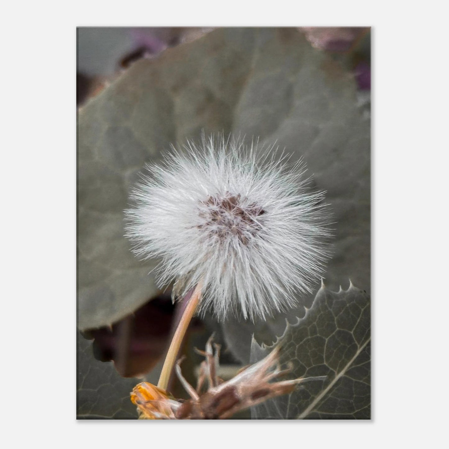 8ef4402b-71ea-4bfd-be8c-67efa2877a8e