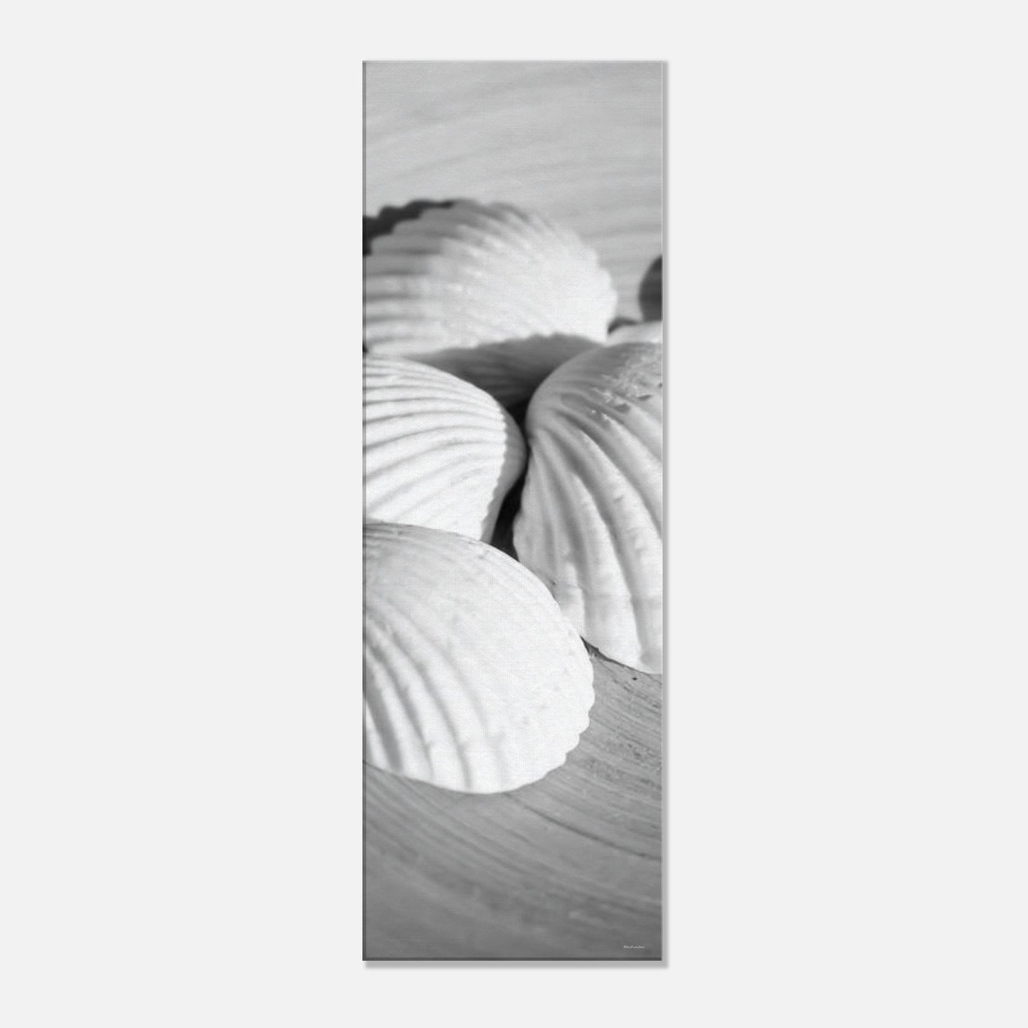 8f1d5f52-fe5a-4dd1-95c6-53c5934fa8ac