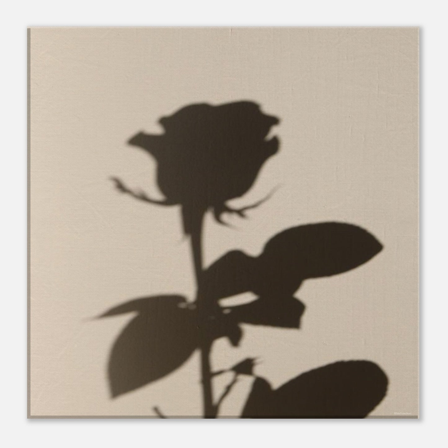 8f3a0c82-c70d-4e22-bb73-ab5035f7f313