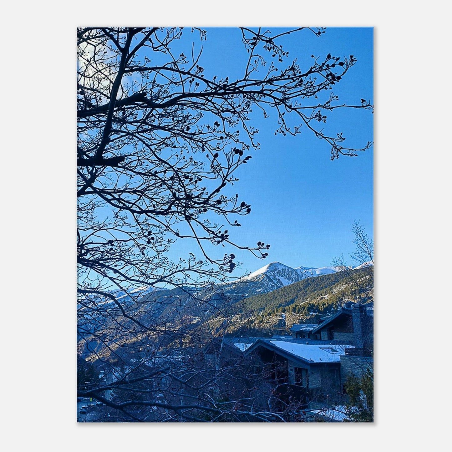 8f64cf2e-5f0f-4ef7-b50a-4fd82e9c47a7