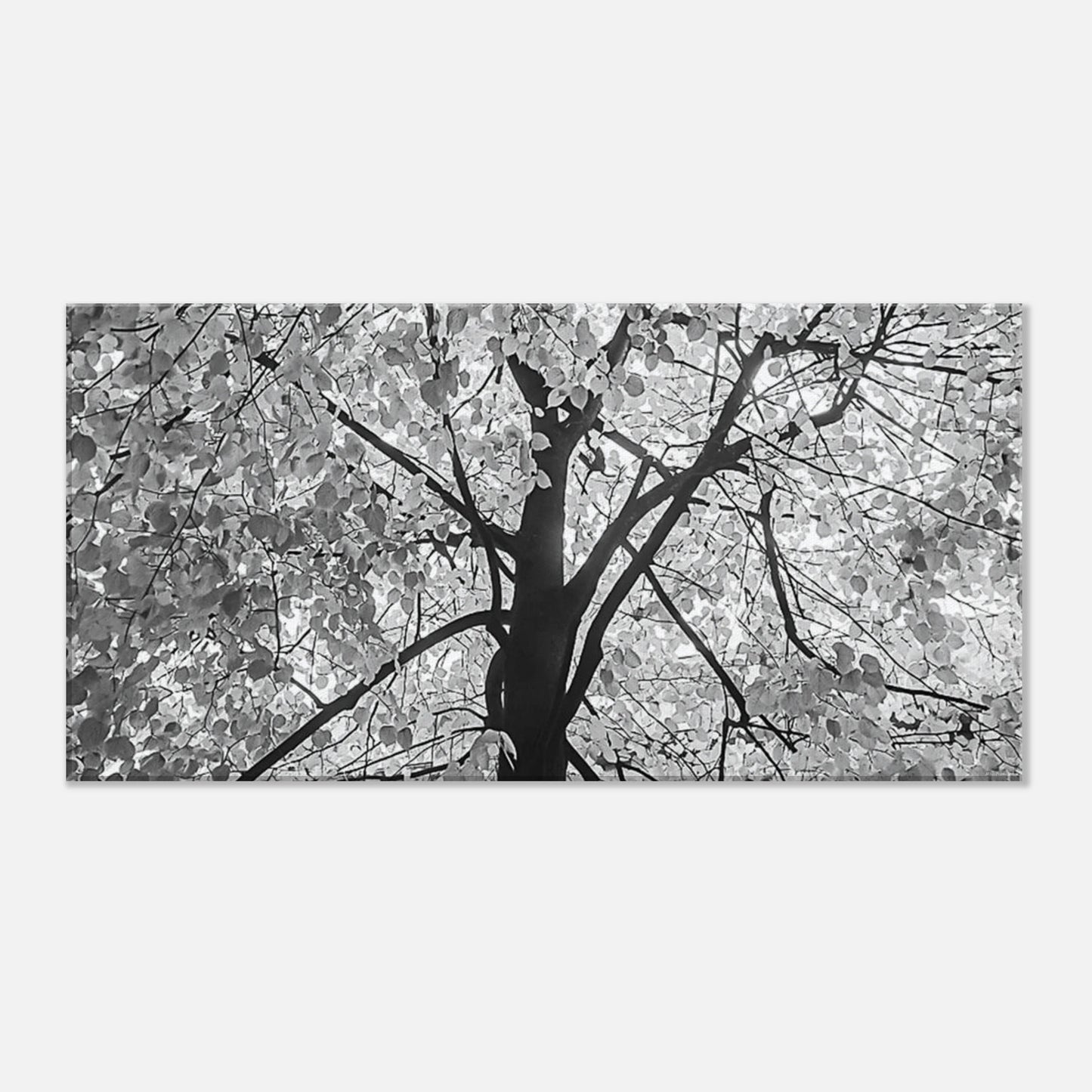 8f669985-dfdb-456e-af7b-505f7a1ee973