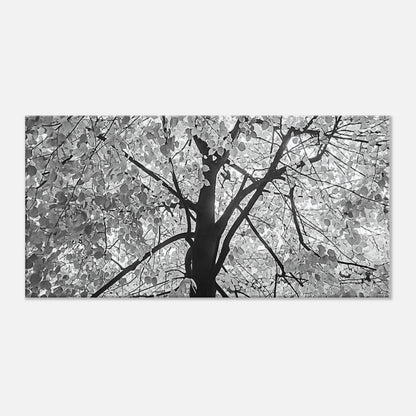8f669985-dfdb-456e-af7b-505f7a1ee973