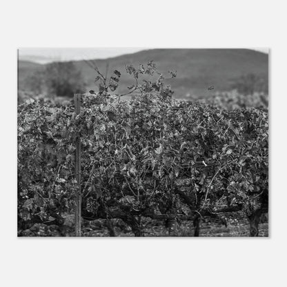 8f8c861f-9566-489b-96c2-29edc88c8018