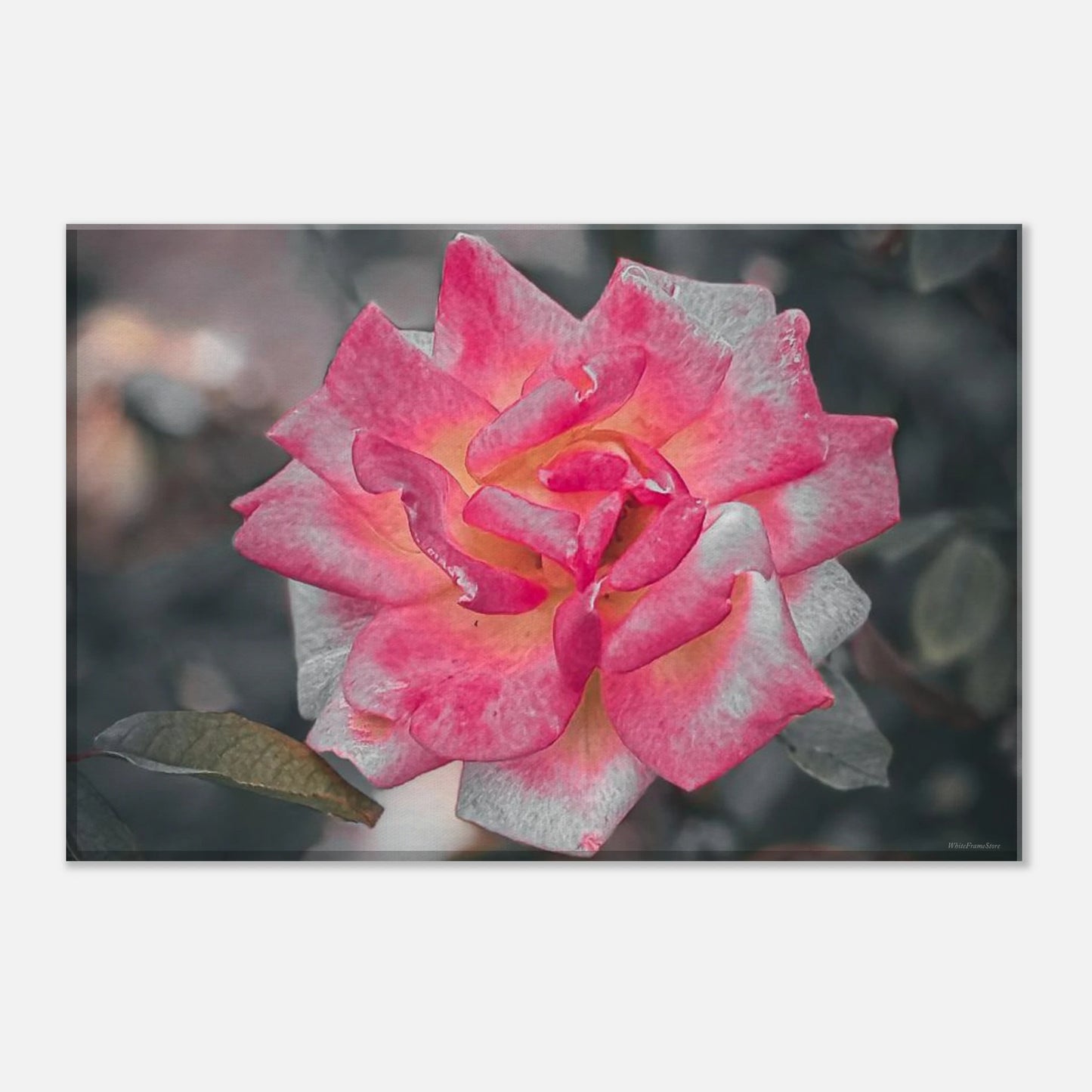 8f8f345a-0791-4cef-b4df-c4e1f04ecbf8