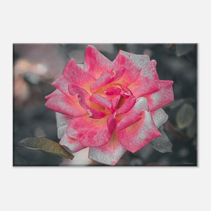 8f8f345a-0791-4cef-b4df-c4e1f04ecbf8