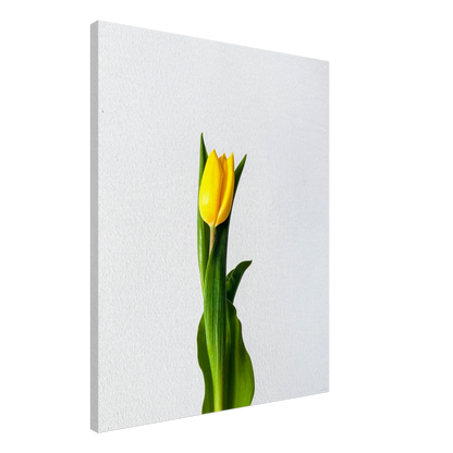 8fb62625-fca1-4728-92b8-4e5a58b3d408