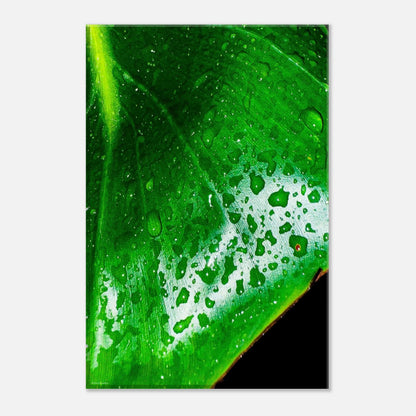 8ffeb2a4-6f69-46db-99b7-55d59e0dc3ab