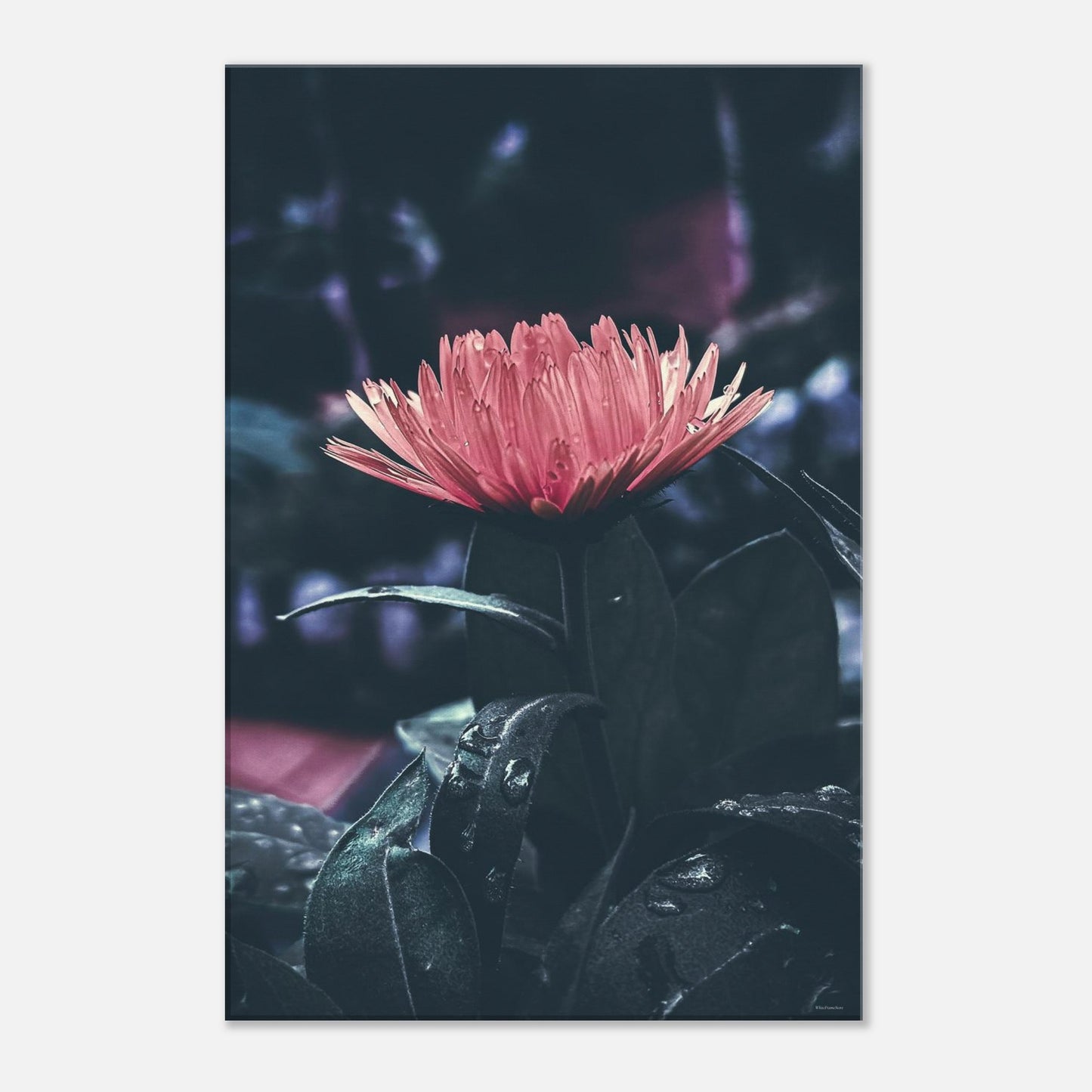 90069a47-97a8-4b08-94b0-40e5a161b697