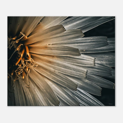 900c2f60-eab8-4836-989b-9d58863b8492