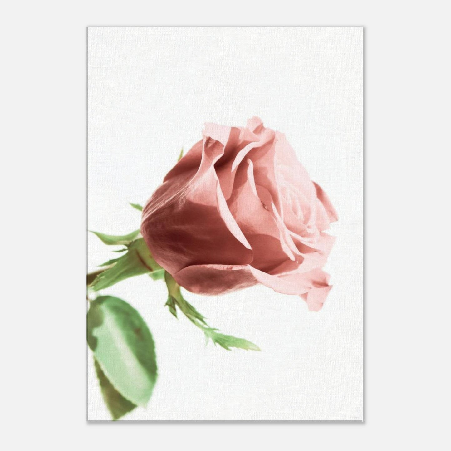 90163ffc-e4cf-4eec-b567-8faefcd20543