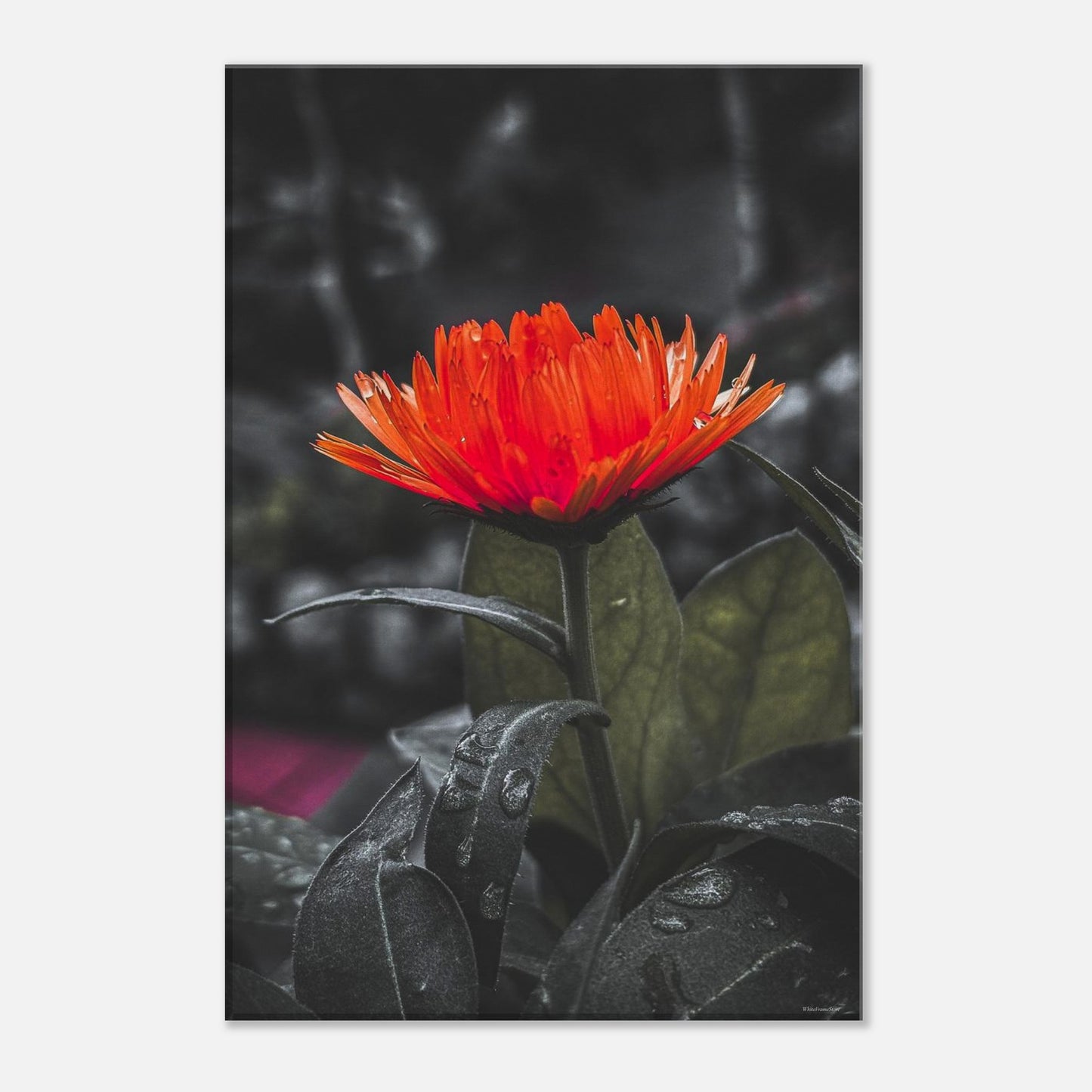 901cdfcb-b9f4-4009-902f-2fe2c9a782c3