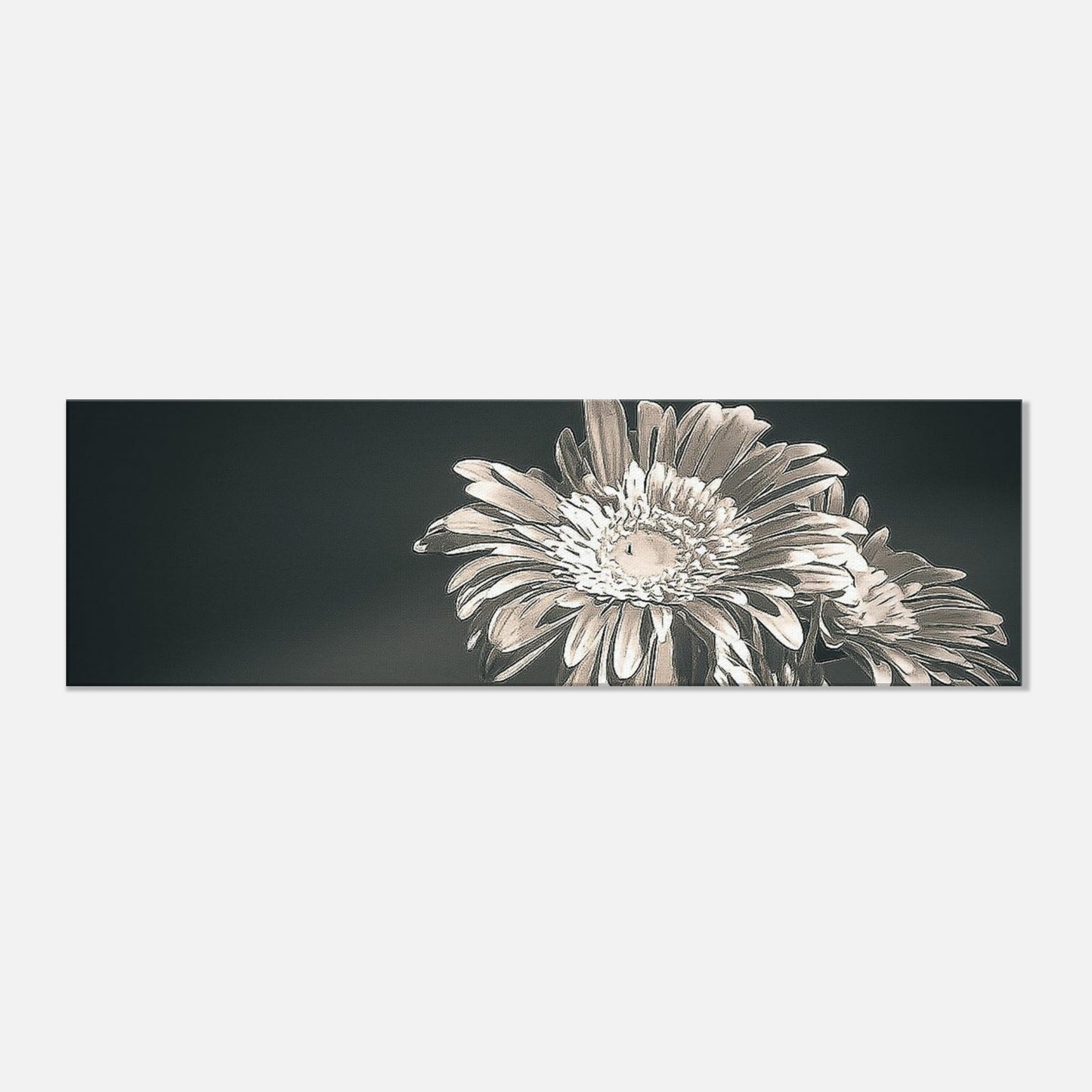 9030fa8d-d84e-4141-96a2-41792bd0c43e