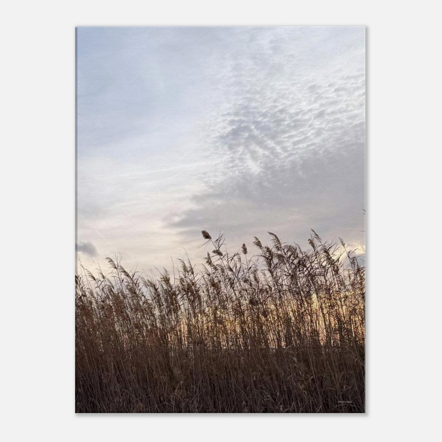 90559f01-3f9b-41d5-a194-bb8bfa799262