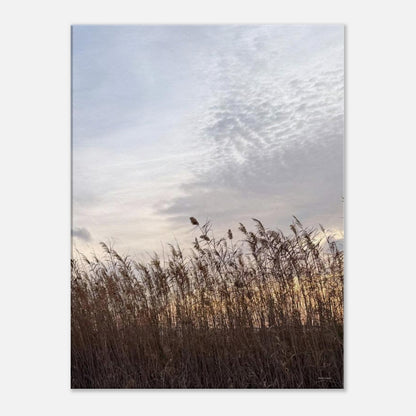 90559f01-3f9b-41d5-a194-bb8bfa799262