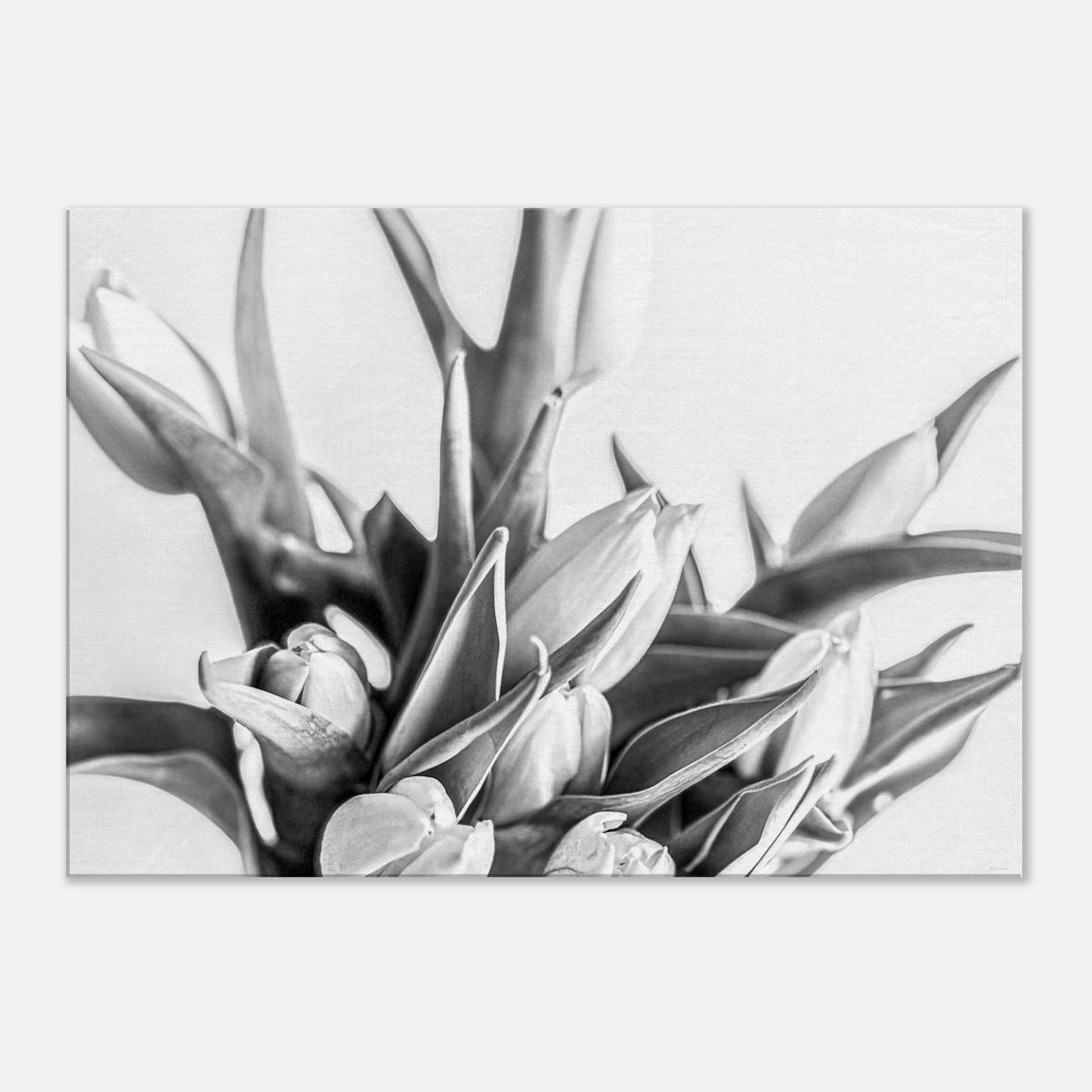 907175a2-0dfe-4c44-835e-c59e3773e6c7