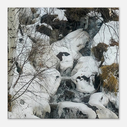 90b153e5-f584-49b0-a22c-0bf50e5f7509