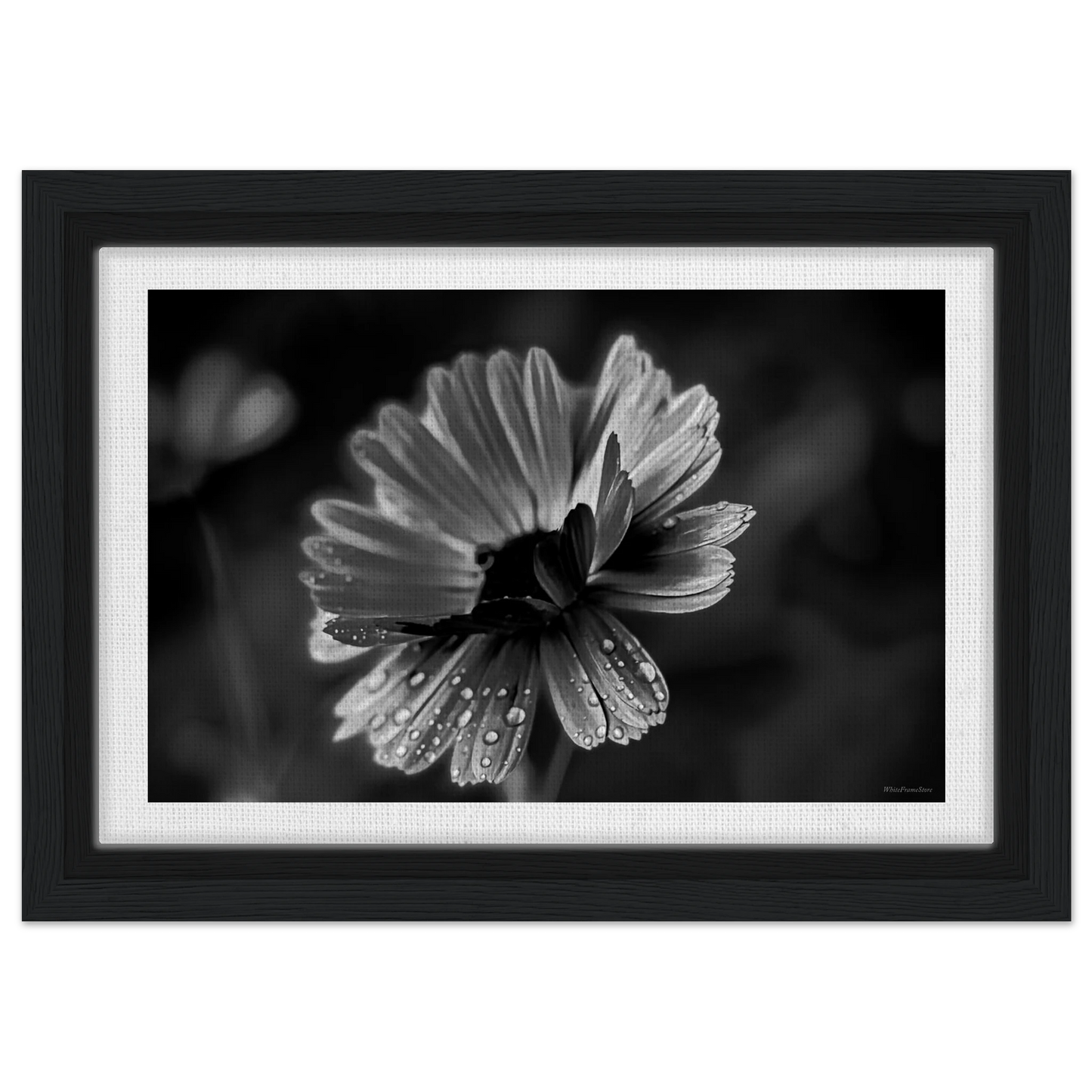 90bf2120-3aaf-47d4-9edd-c63bd53791e3