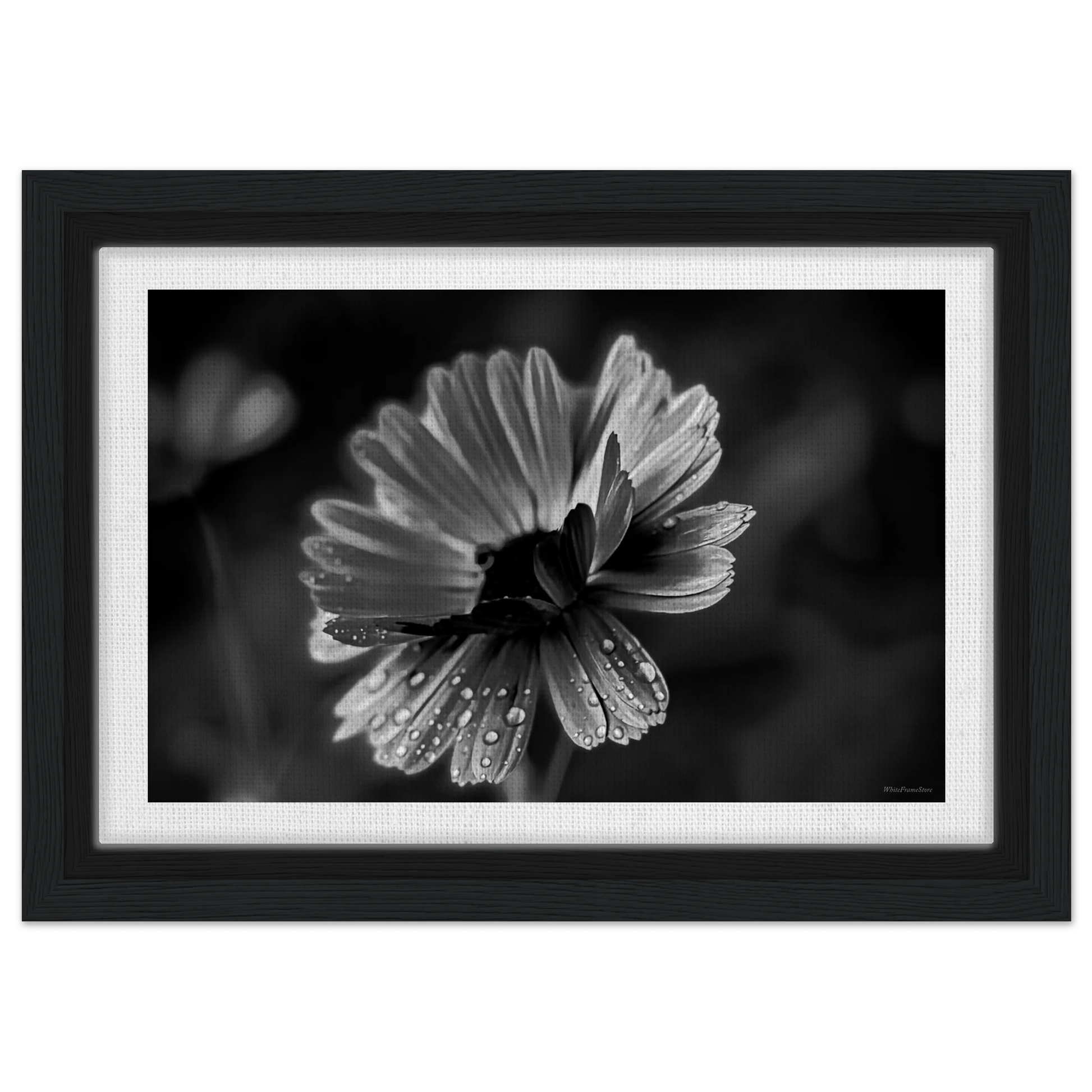 90bf2120-3aaf-47d4-9edd-c63bd53791e3