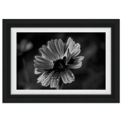 90bf2120-3aaf-47d4-9edd-c63bd53791e3