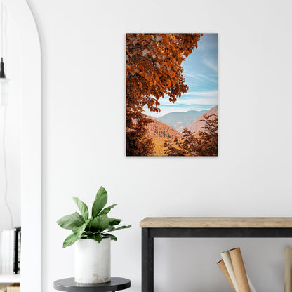 90c90b90-d552-4376-8501-8bcd2c56f60c