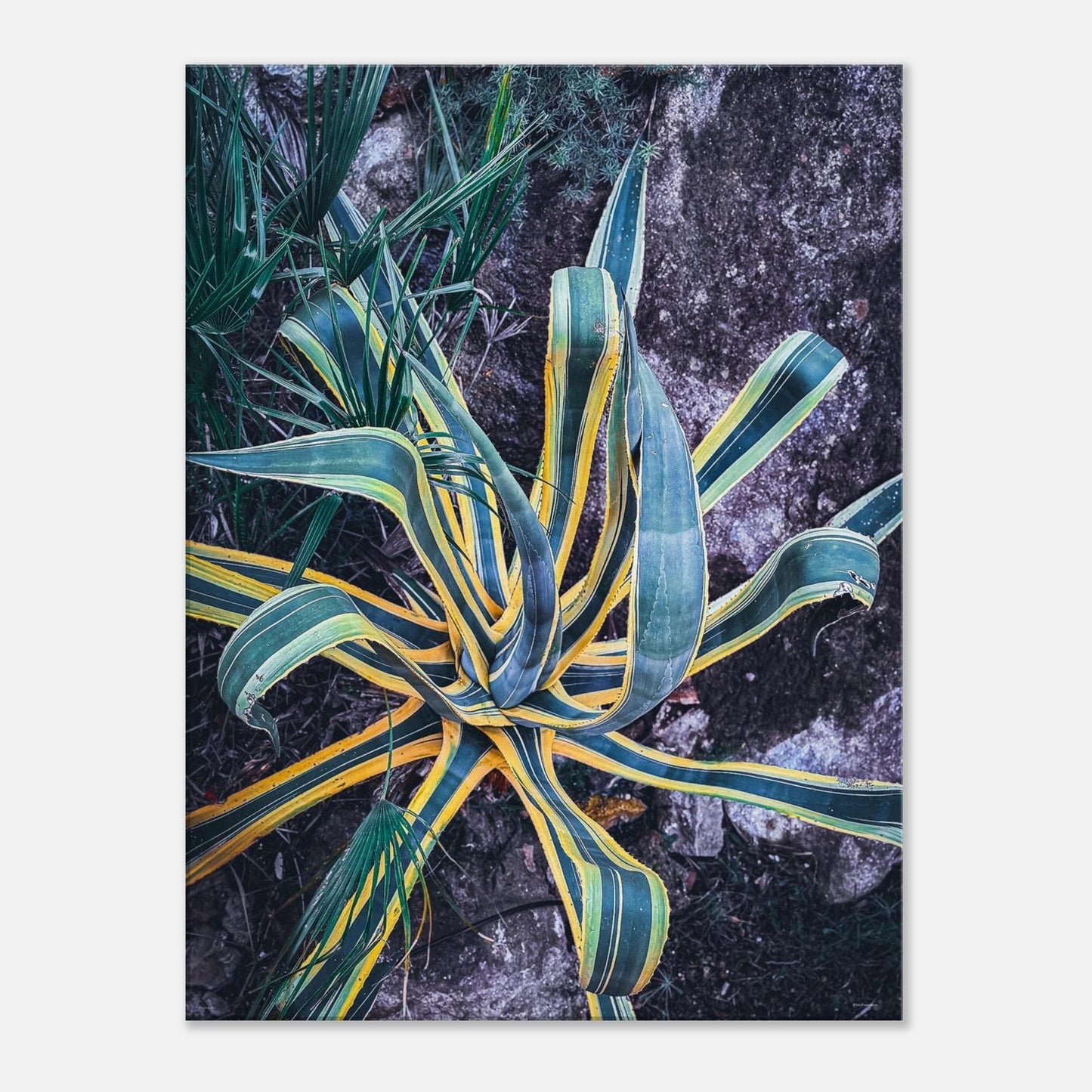 90e6b4a4-fe7f-4b66-a264-b5e631eb4569