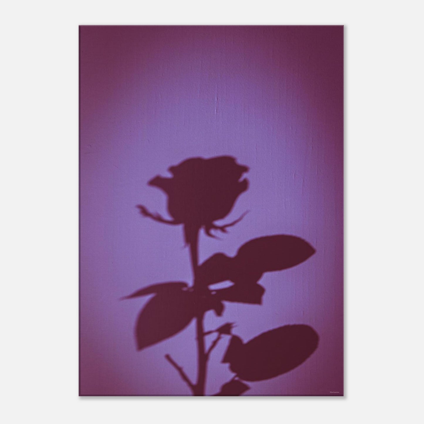 90fb66f7-36c4-44c3-b419-512a70031c89