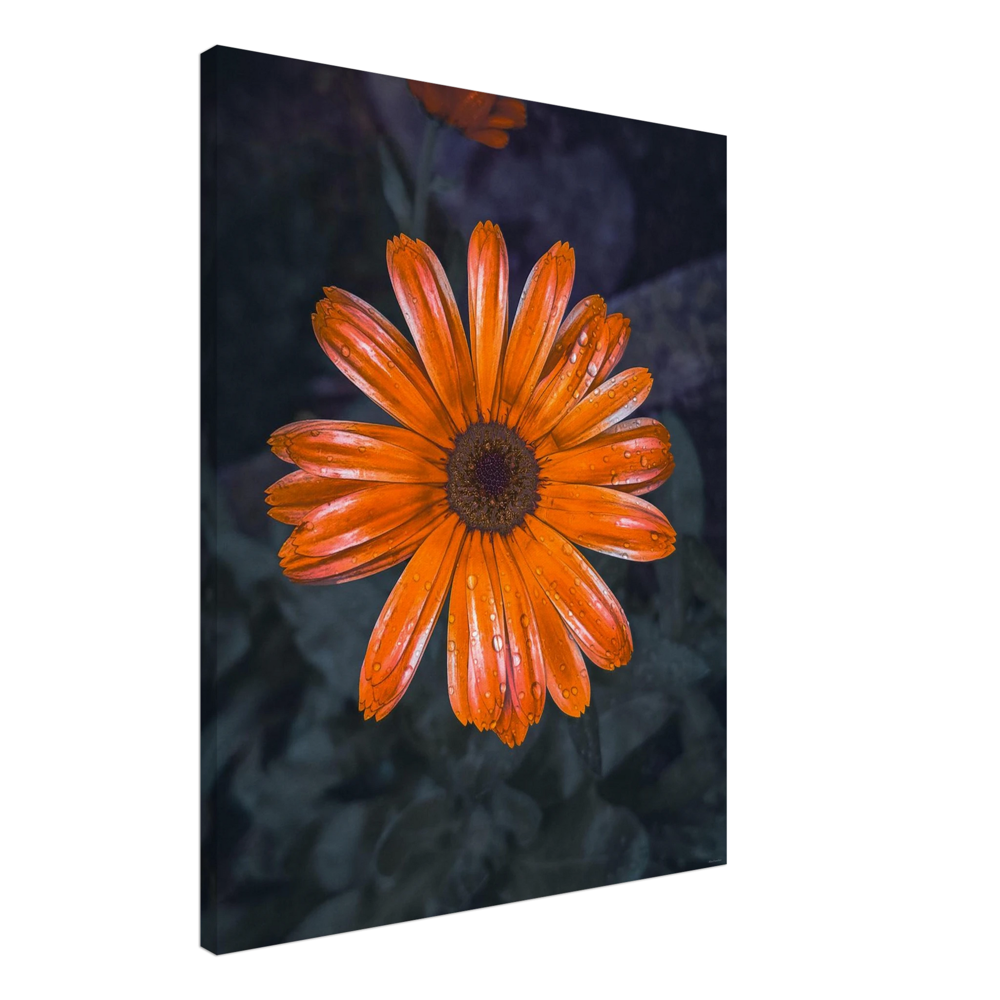 91037471-3517-4d32-b3b8-0c4467cec084