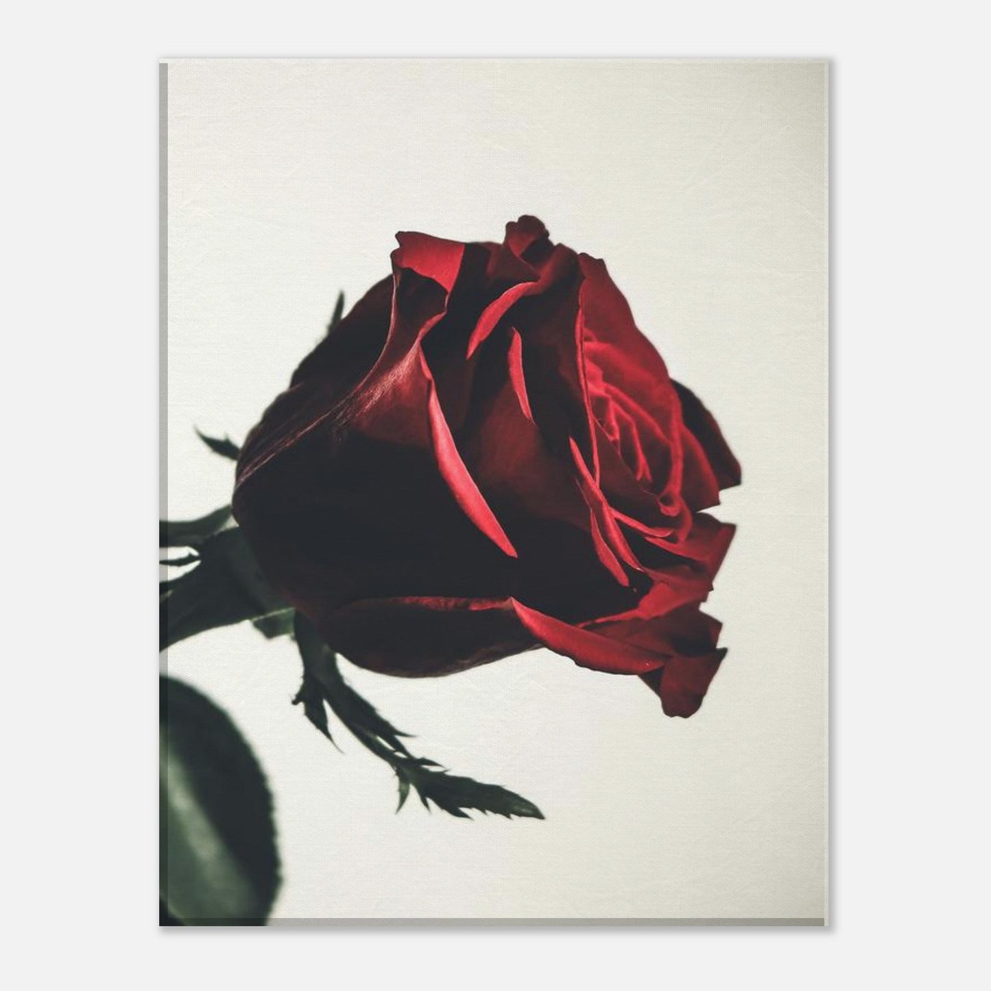 911c3f61-ec6c-4a48-b3ce-2c4d6d067310