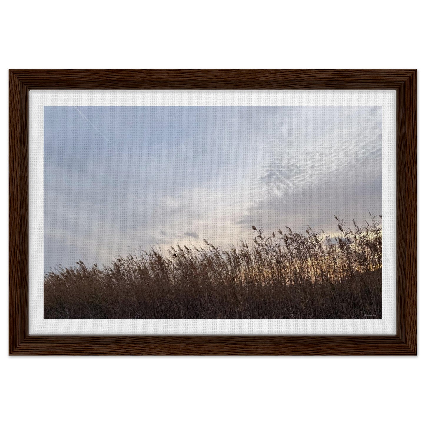 91258411-9df4-47e9-a1e0-c39a1eab9877