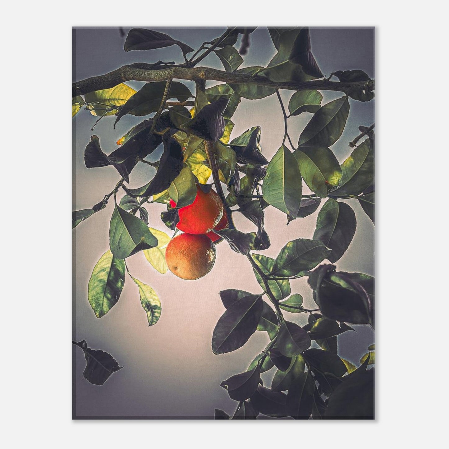 912f9ffc-096a-4548-9975-ecb05d9458d7