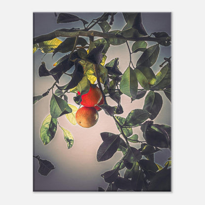 912f9ffc-096a-4548-9975-ecb05d9458d7