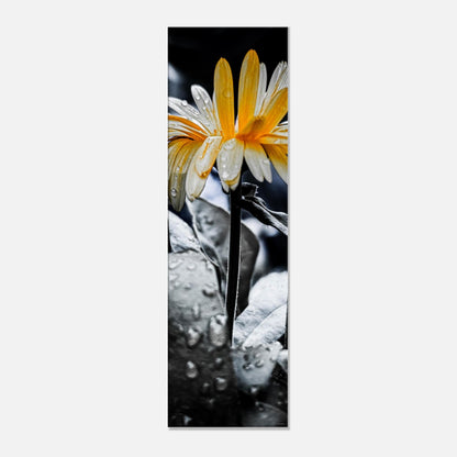 915eddd1-5946-48f7-9696-76700b7a5157