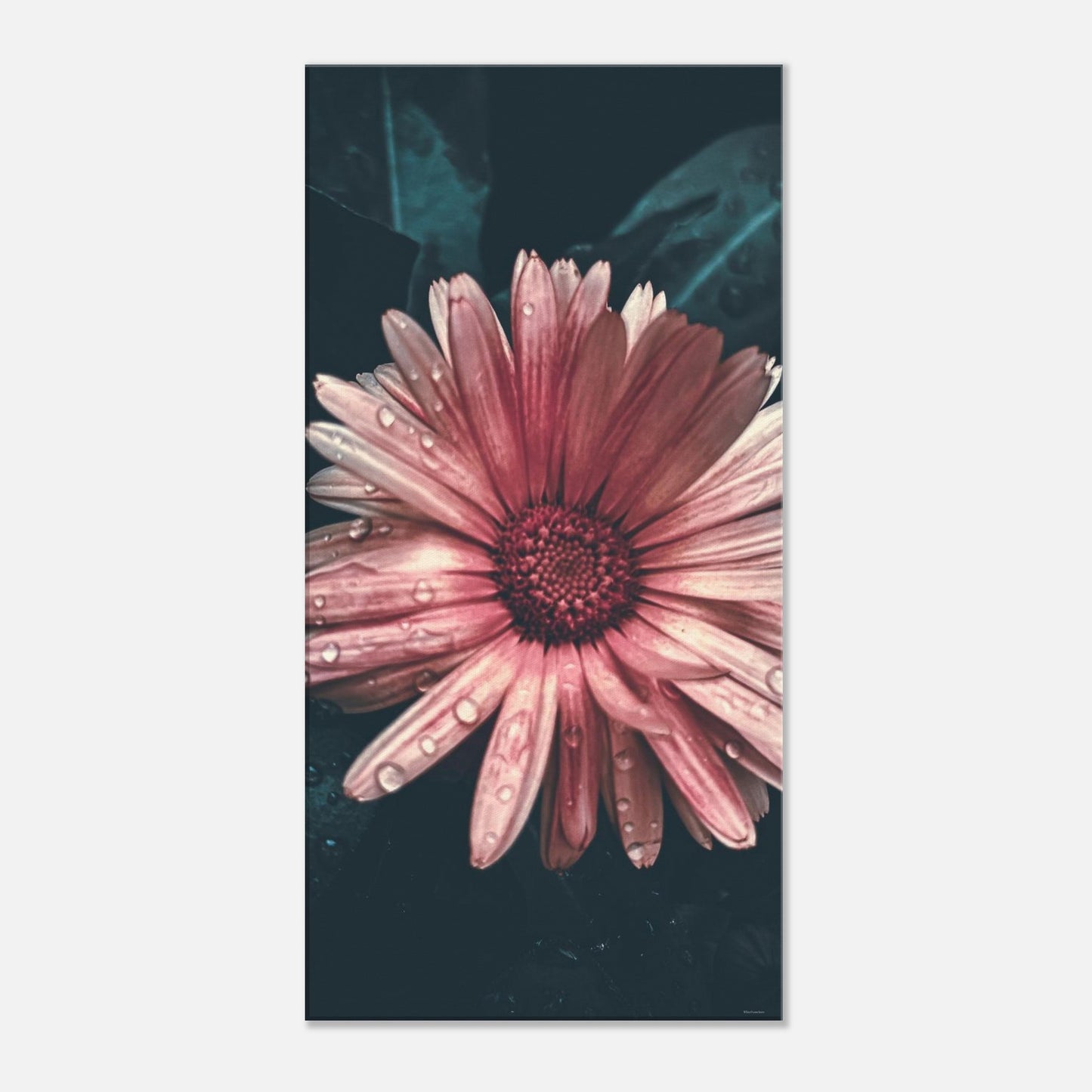 918ae76d-7ada-4b14-8efb-bd1b69e88c2c